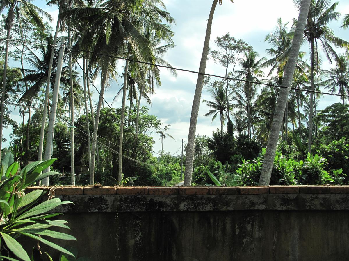Hotel Sunrise Coconut House Ubud Exterior foto